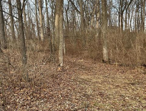 3576 Hawks Point Rd, Wildwood, MO 63069 photo 81