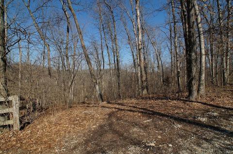3576 Hawks Point Rd, Wildwood, MO 63069 photo 71