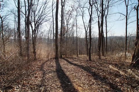 3576 Hawks Point Rd, Wildwood, MO 63069 photo 79