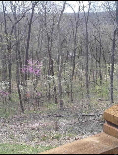 3576 Hawks Point Rd, Wildwood, MO 63069 photo 82