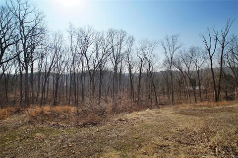 3576 Hawks Point Rd, Wildwood, MO 63069 photo 75