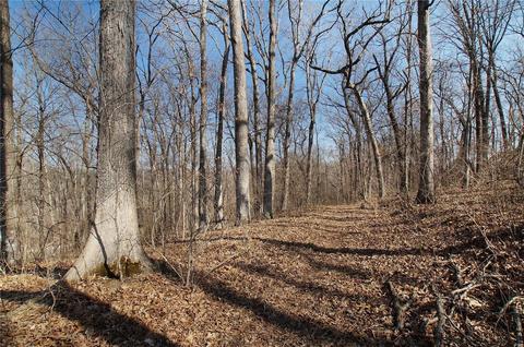 3576 Hawks Point Rd, Wildwood, MO 63069 photo 78