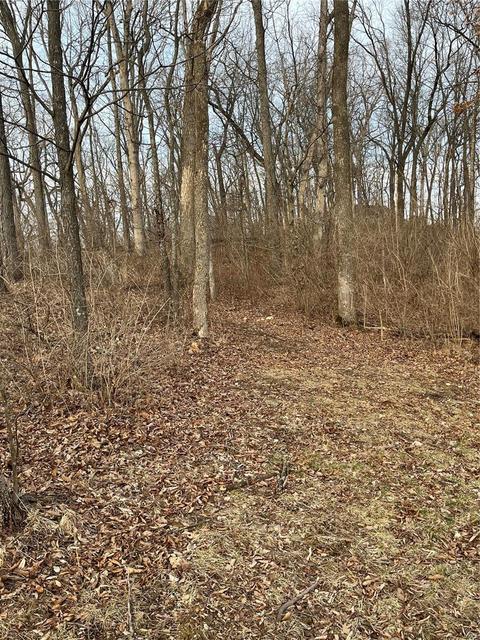 3576 Hawks Point Rd, Wildwood, MO 63069 photo 83