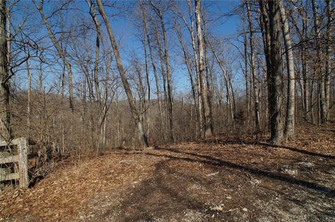 3576 Hawks Point Rd, Wildwood, MO 63069 photo 76