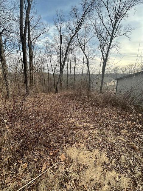 3576 Hawks Point Rd, Wildwood, MO 63069 photo 80
