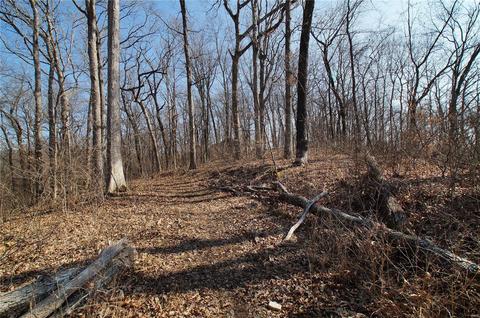 3576 Hawks Point Rd, Wildwood, MO 63069 photo 77