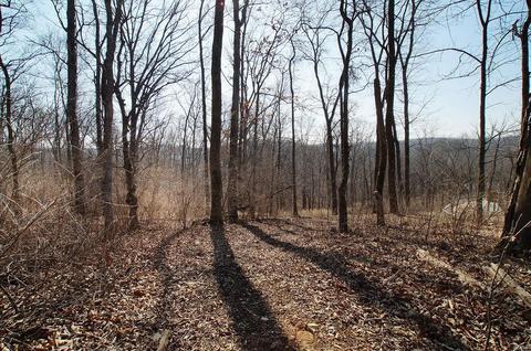 3576 Hawks Point Rd, Wildwood, MO 63069 photo 74