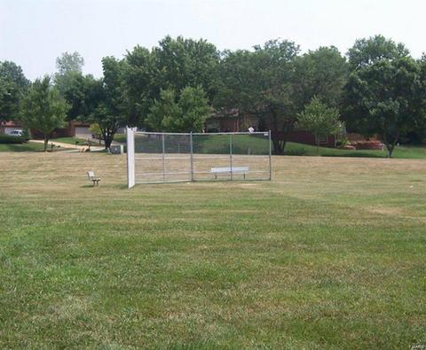 952 Imperial Pt, Manchester, MO 63021 photo 23