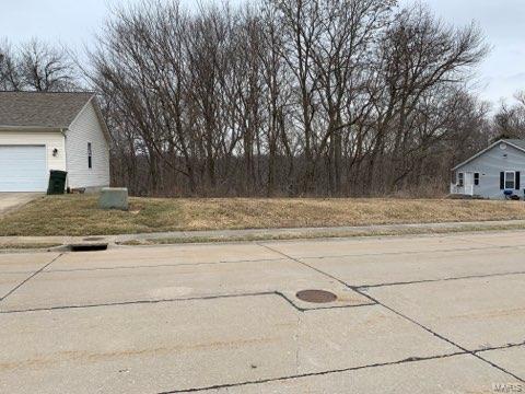 121 W Hunters Rdg, Valmeyer, IL 62295 photo 1