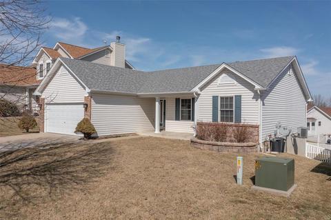2832 Grand Slam Dr, O'fallon, MO 63366 photo 20