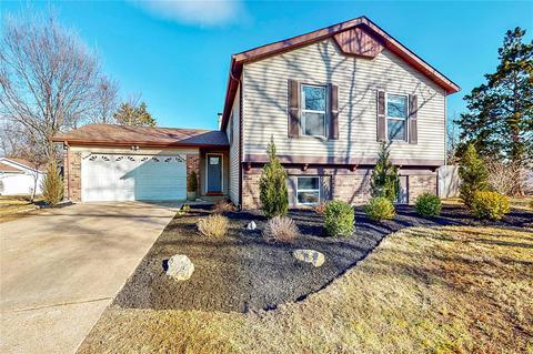 806 Catania Dr, Ballwin, MO 63021 photo 1