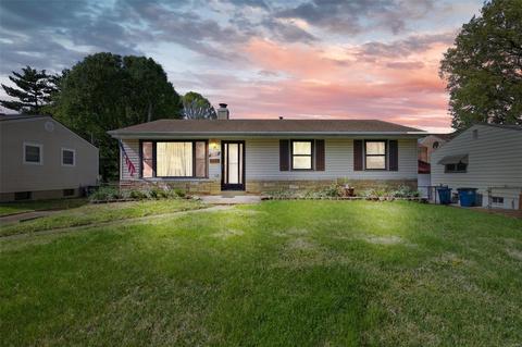 4226 Heidelberg Ave, Saint Louis, MO 63123