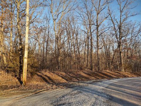 1510 Skyhawk Pl, Wright City, MO 63390 photo 1