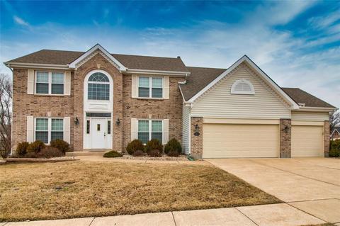 454 Castle Glen Ct, Ballwin, MO 63021 photo 1