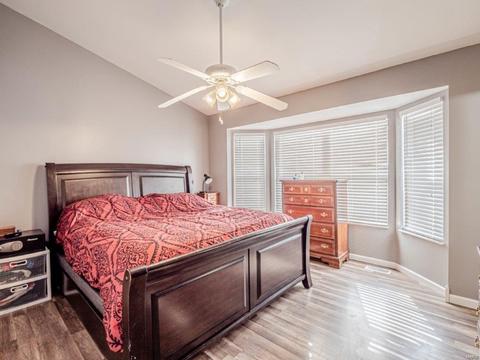 21 Mary Beth Ct, O'fallon, MO 63368 photo 10
