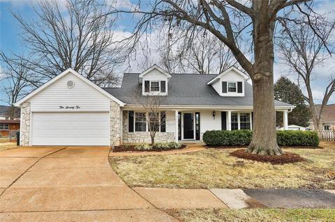 572 Summit Downs Ct, Fenton, MO 63026 photo 1