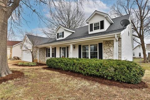572 Summit Downs Ct, Fenton, MO 63026 photo 26