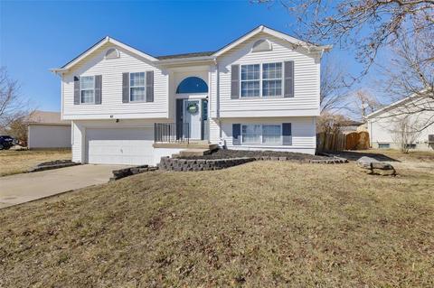 43 Mallard Pointe Dr, O'fallon, MO 63368 photo 19