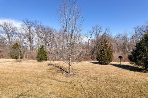 122 Fallon Villa Ct, O'fallon, MO 63368 photo 26