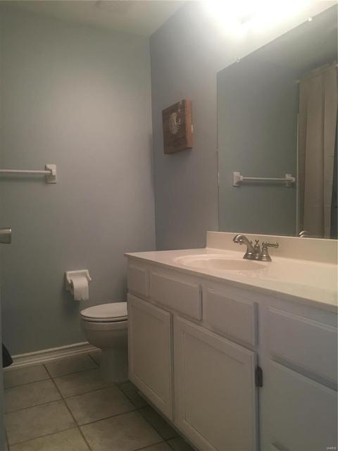 4617 Hickory Ridge View Ct, Eureka, MO 63025 photo 6