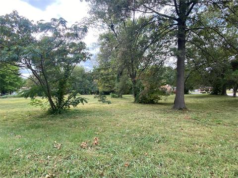 3973 Wright Ave, Saint Ann, MO 63074 photo 6