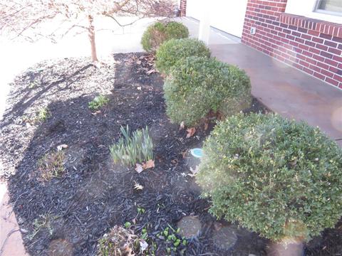 11242 Terry Ave, Bridgeton, MO 63044 photo 50