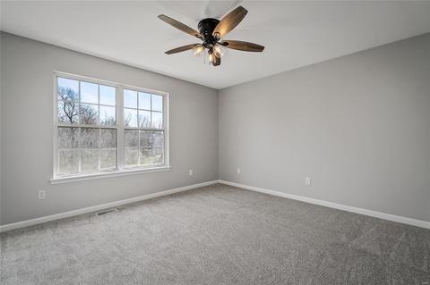 1238 Raintree Pass, O'fallon, MO 63366 photo 28