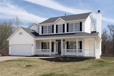 1238 Raintree Pass, O'fallon, MO 63366 photo 41