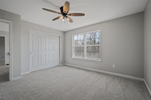 1238 Raintree Pass, O'fallon, MO 63366 photo 29