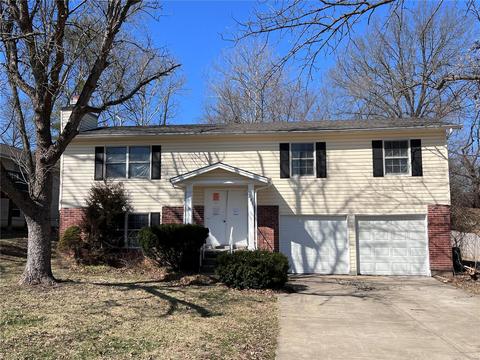 285 Amber Jack, Ballwin, MO 63021 photo 1