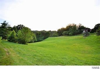 749 Ridgeside Dr #I, Ballwin, MO 63021 photo 17