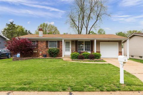 53 Roland Ave, Ballwin, MO 63021 photo 1