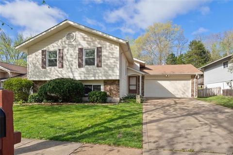1011 Treetop Trail Dr, Manchester, MO 63021 photo 1