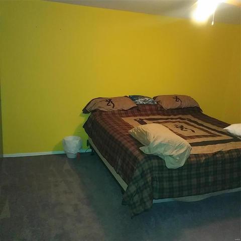 304 Capri Dr, O'fallon, MO 63366 photo 23