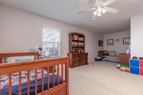 466 Blackwolf Run, Grover, MO 63040 photo 50