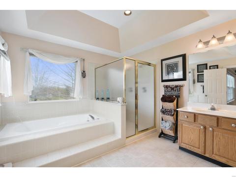 66 W Meath Ring, Weldon Spring, MO 63304 photo 20