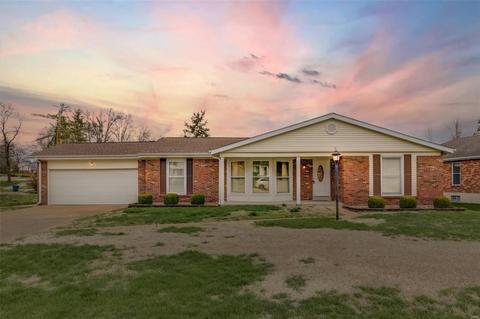 102 Denbigh Ter, Ballwin, MO 63011 photo 23