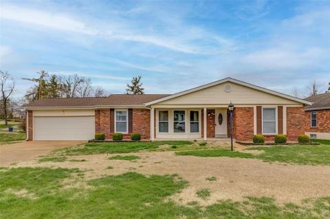 102 Denbigh Ter, Ballwin, MO 63011 photo 21