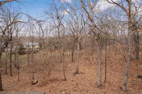 443 Thunderhead Canyon Dr, Wildwood, MO 63011 photo 38