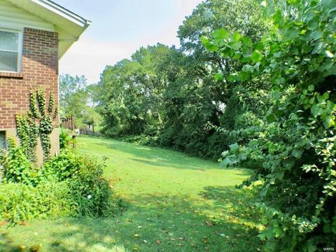 1007 Carman, Ballwin, MO 63021 photo 2