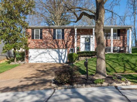 906 Hazel Falls Dr, Manchester, MO 63021 photo 1