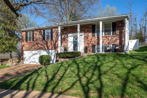 906 Hazel Falls Dr, Manchester, MO 63021 photo 25
