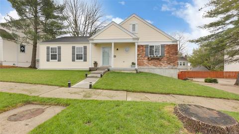 141 Pheasant Point Dr, O'fallon, MO 63368 photo 28