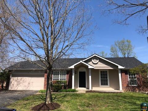 5 Fair Isle Ct, Ellisville, MO 63021 photo 20