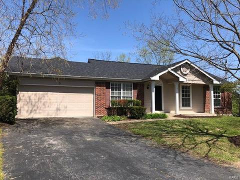 5 Fair Isle Ct, Ellisville, MO 63021 photo 2