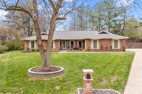 10 Morena Ct, Ballwin, MO 63011 photo 45