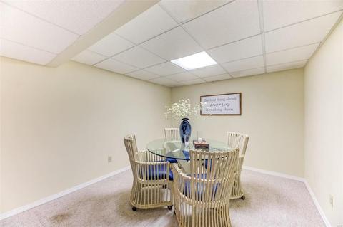 271 Cedar Village Ct, Ballwin, MO 63021 photo 17