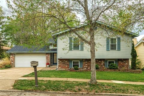 647 Nanceen Ct, Ballwin, MO 63021 photo 1