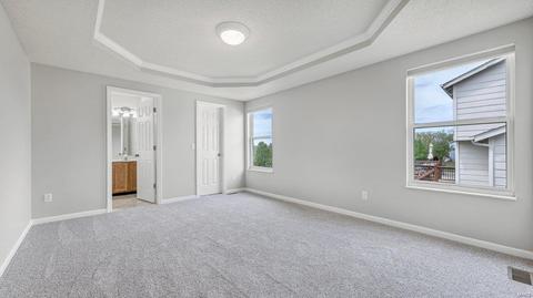 263 Brougham Dr, O'fallon, MO 63368 photo 19