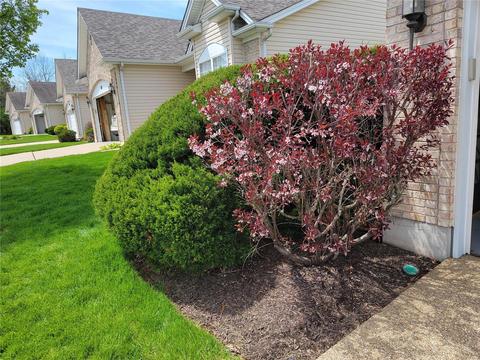 809 Elaine Dr, O'fallon, MO 63366 photo 2